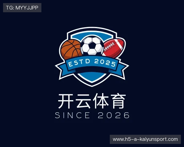发现开云网站
